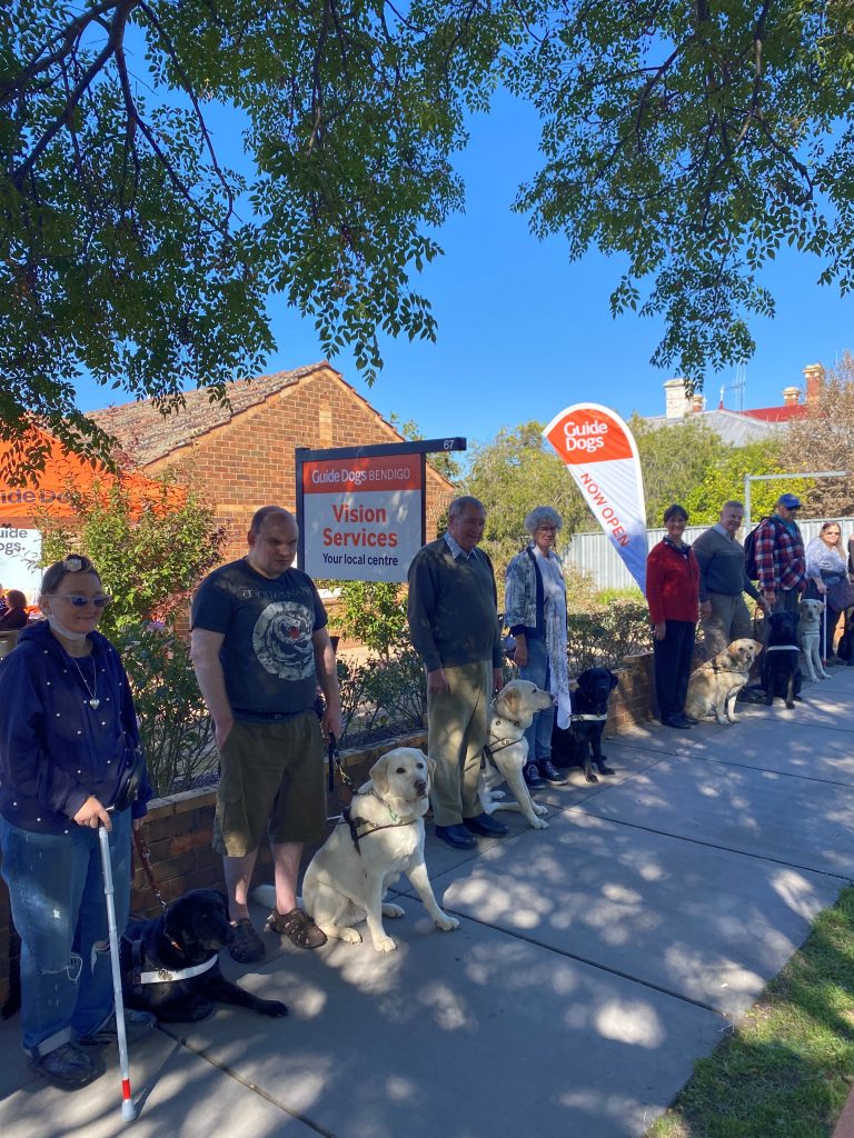 Guide dog owners lined up along a pavement with their dogs