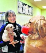 Christine Baroni Pretsch with a yellow lab puppy and adult golden retriever.