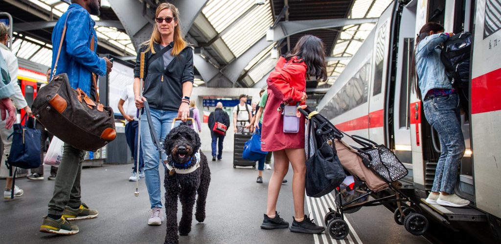 guide dog in train station